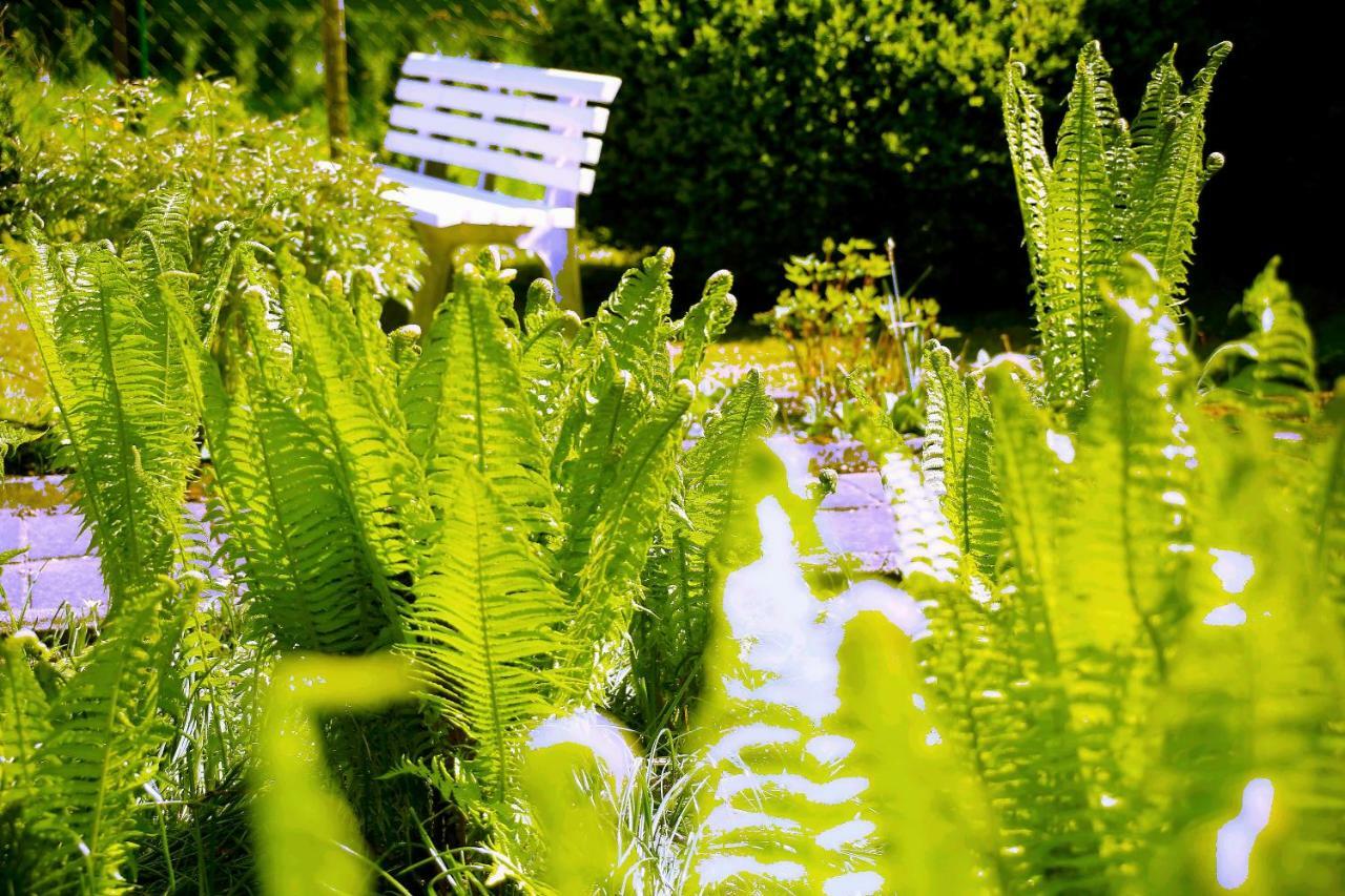 Mitten Im Seenland Und Spreewaldnah, Schoener Garten Storkow  Exterior foto